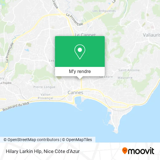 Hilary Larkin Hlp plan