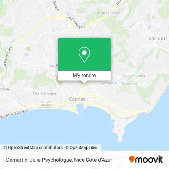 Demartini Julie Psychologue plan