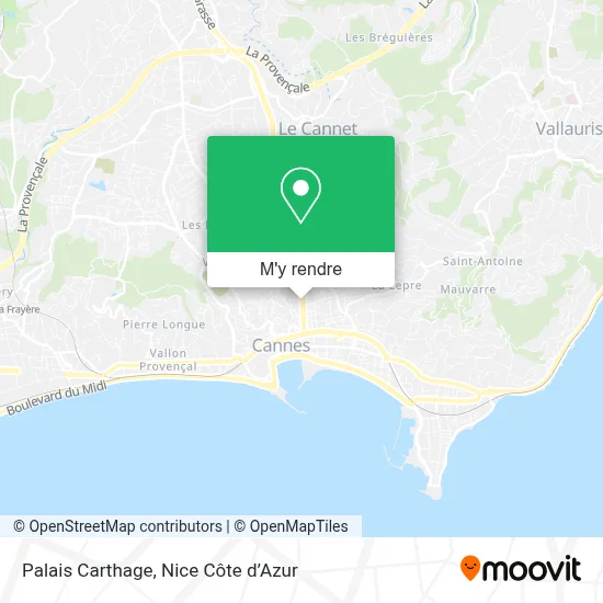 Palais Carthage plan