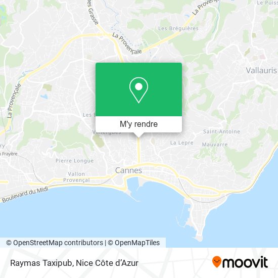 Raymas Taxipub plan