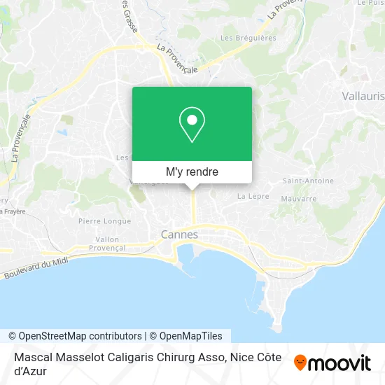 Mascal Masselot Caligaris Chirurg Asso plan