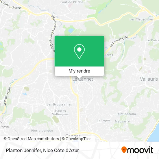 Planton Jennifer plan