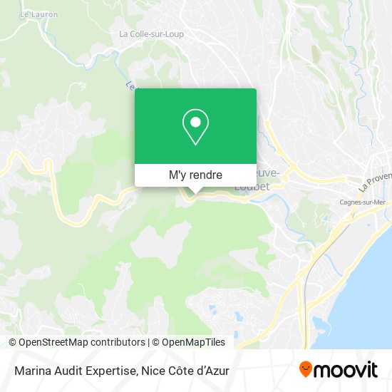 Marina Audit Expertise plan