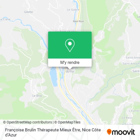 Françoise Brulin Thérapeute Mieux Être plan