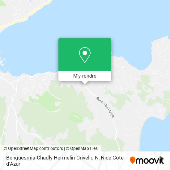 Benguesmia-Chadly Hermelin-Crivello N plan