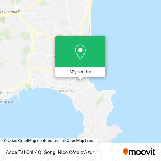 Asoa Tai Chi / Qi Gong plan