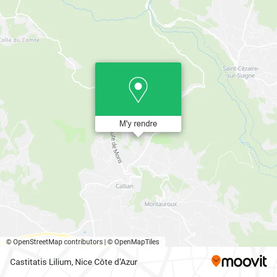 Castitatis Lilium plan