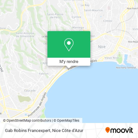 Gab Robins Francexpert plan