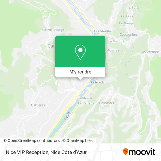 Nice VIP Reception plan