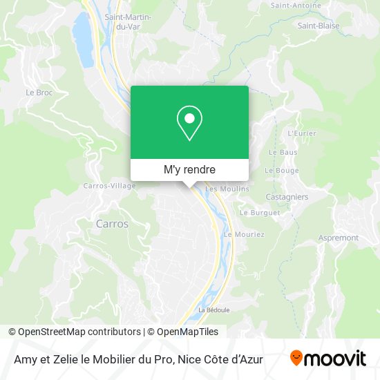 Amy et Zelie le Mobilier du Pro plan