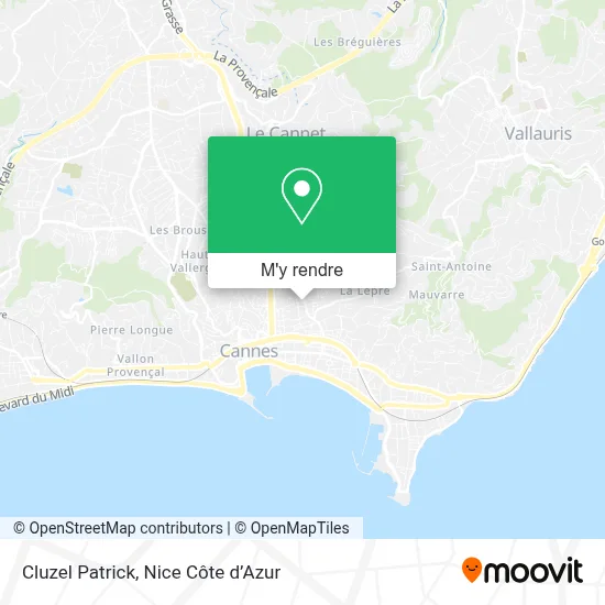 Cluzel Patrick plan