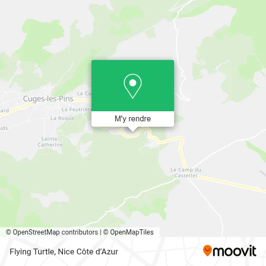 Flying Turtle plan