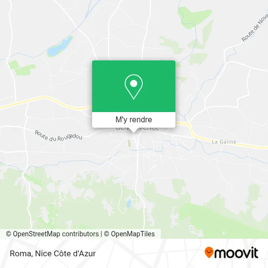 Roma plan