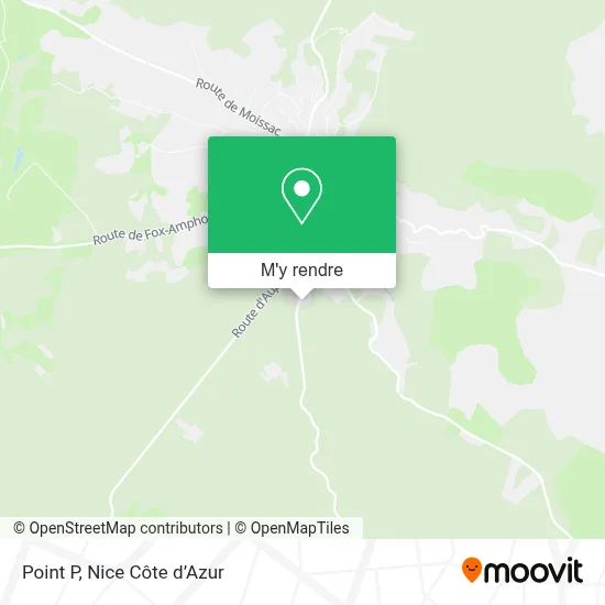 Point P plan