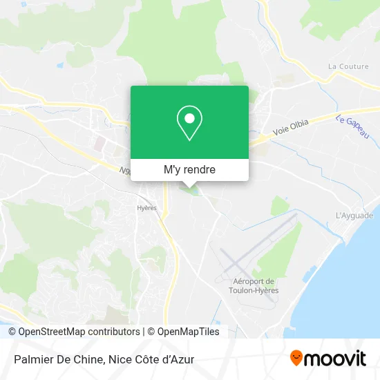 Palmier De Chine plan