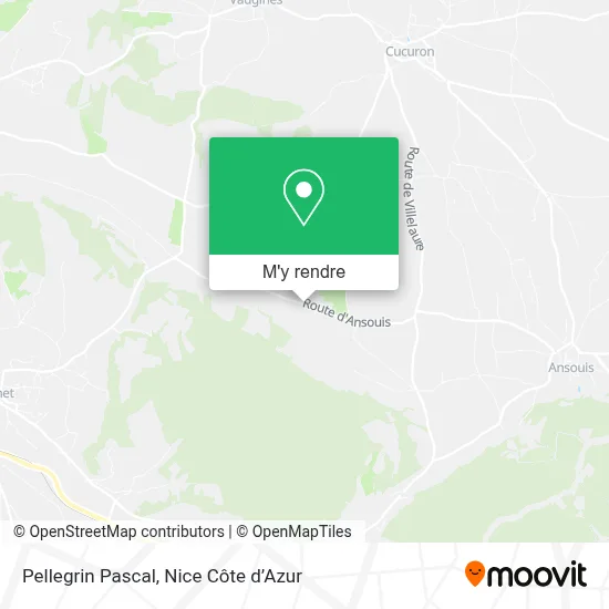 Pellegrin Pascal plan