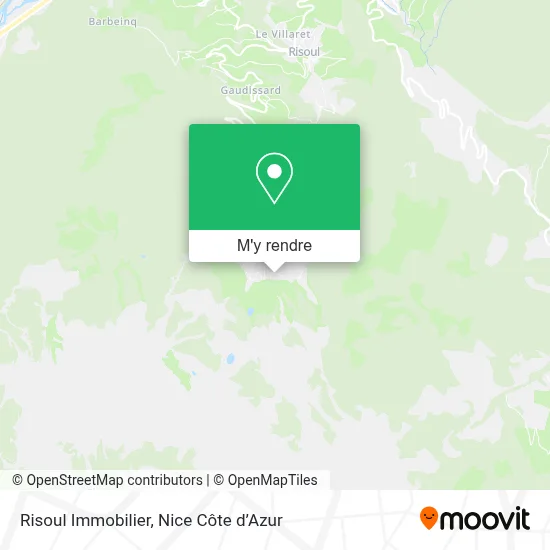 Risoul Immobilier plan