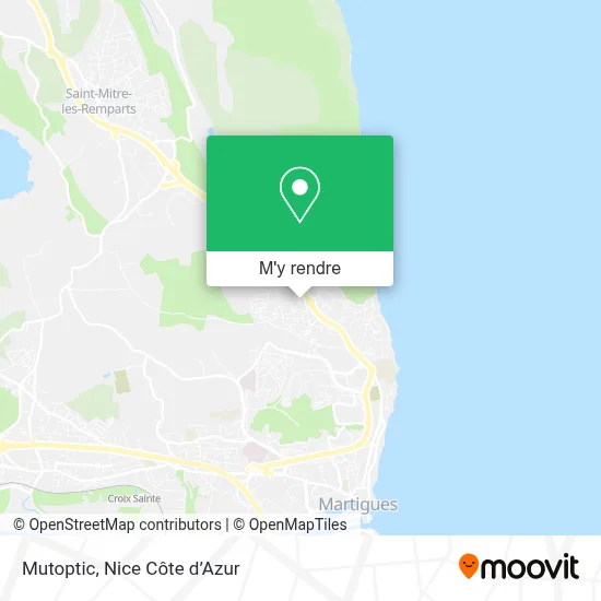 Mutoptic plan