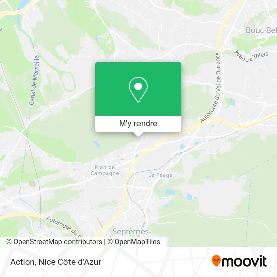 Action plan