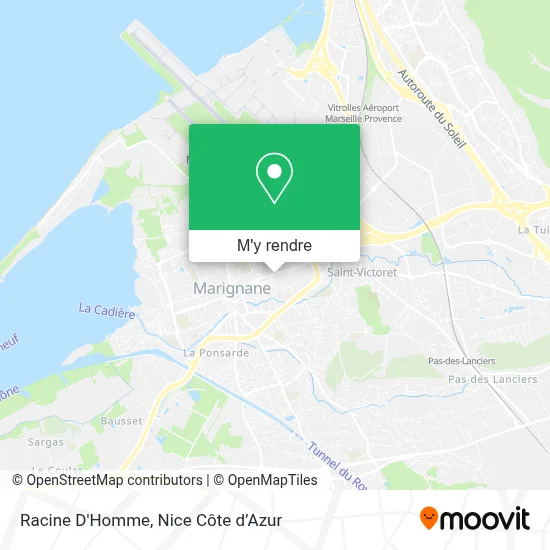 Racine D'Homme plan