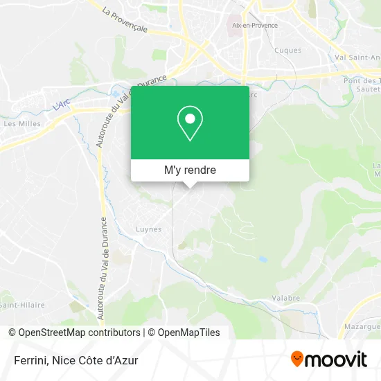 Ferrini plan