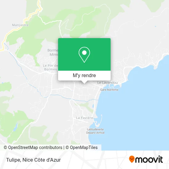 Tulipe plan