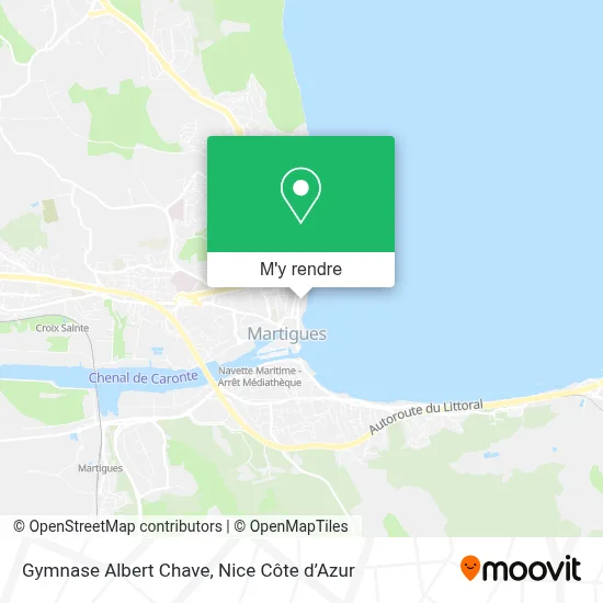 Gymnase Albert Chave plan