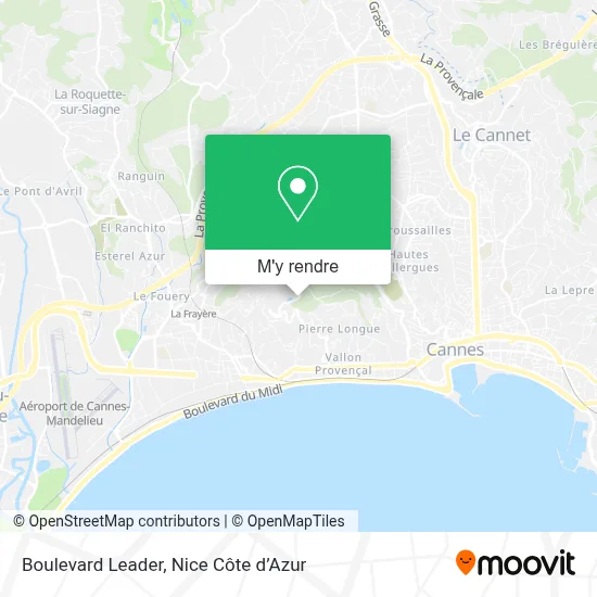 Boulevard Leader plan