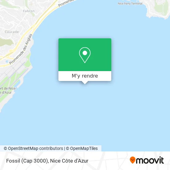 Fossil (Cap 3000) plan