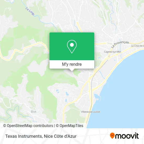 Texas Instruments plan