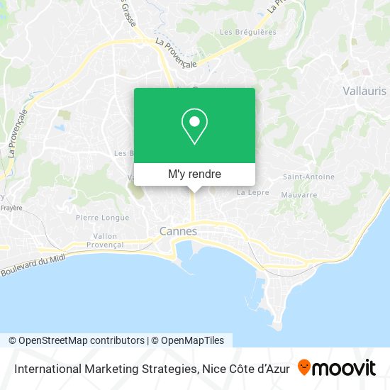International Marketing Strategies plan