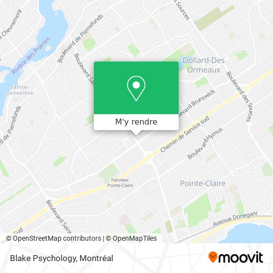 Blake Psychology plan