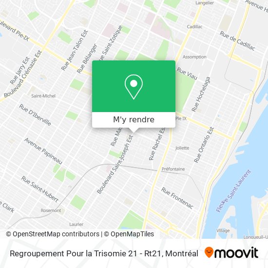 Regroupement Pour la Trisomie 21 - Rt21 plan