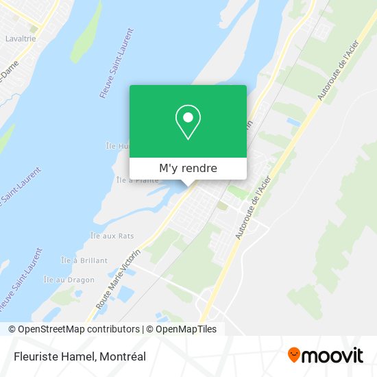 Fleuriste Hamel plan
