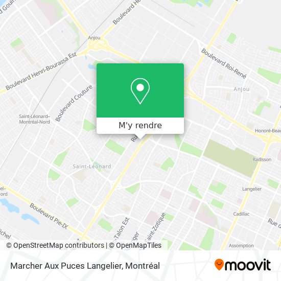 Marcher Aux Puces Langelier plan