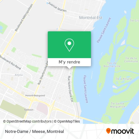 Notre-Dame / Meese plan