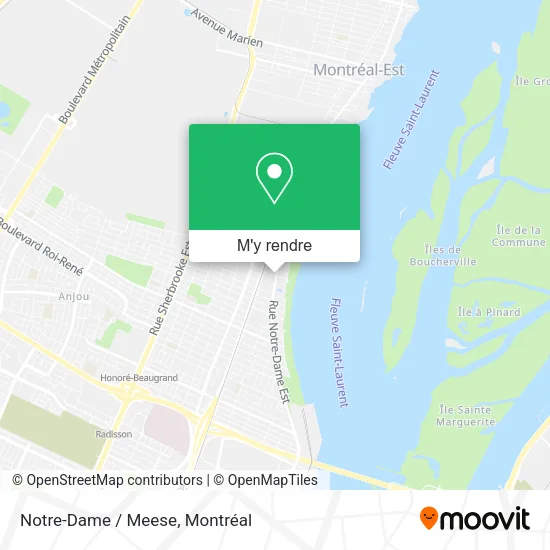 Notre-Dame / Meese plan