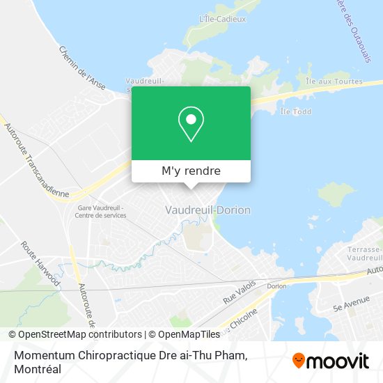 Momentum Chiropractique Dre ai-Thu Pham plan