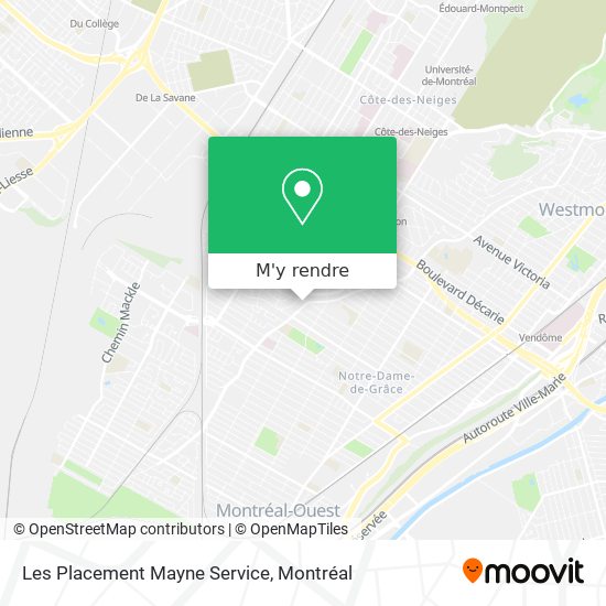 Les Placement Mayne Service plan