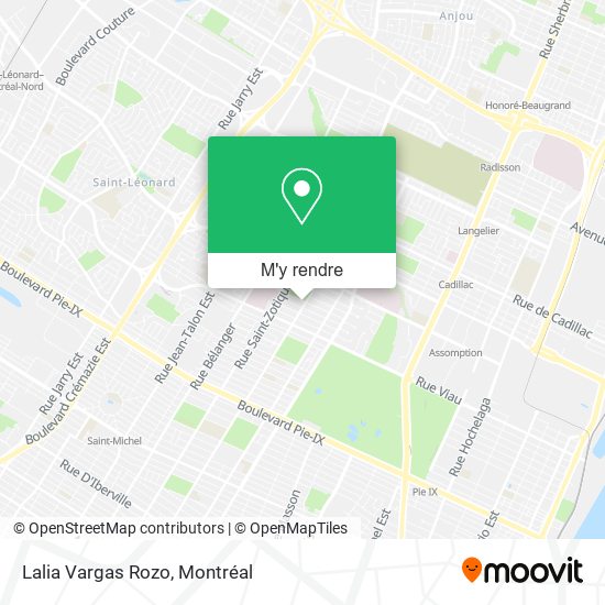 Lalia Vargas Rozo plan