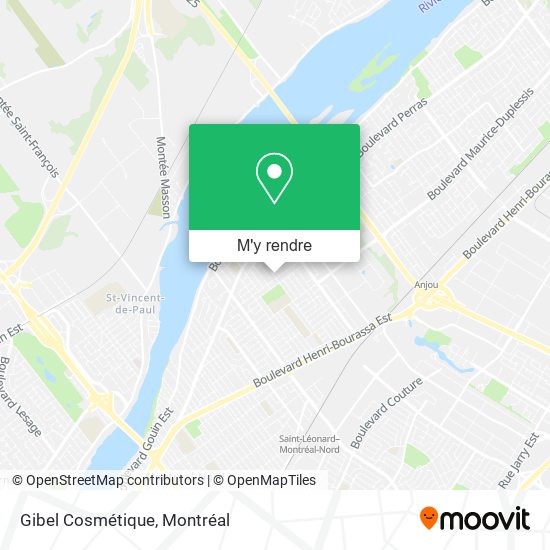Gibel Cosmétique plan
