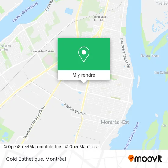 Gold Esthetique plan