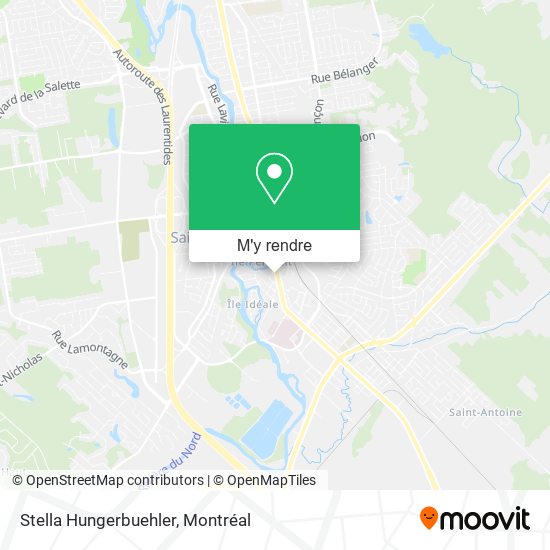 Stella Hungerbuehler plan