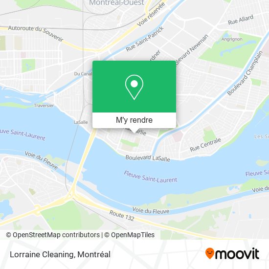 Lorraine Cleaning plan