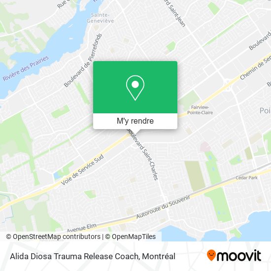 Alida Diosa Trauma Release Coach plan