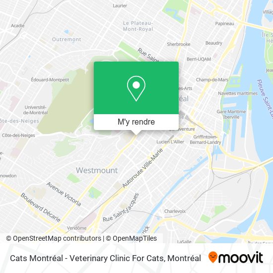 Cats Montréal - Veterinary Clinic For Cats plan