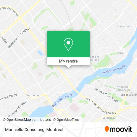 Mariniello Consulting plan
