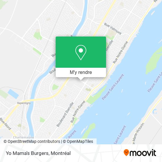 Yo Mama's Burgers plan