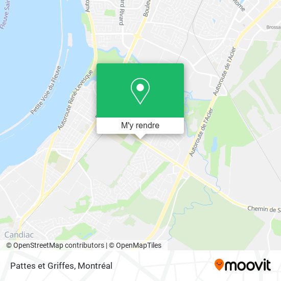 Pattes et Griffes plan