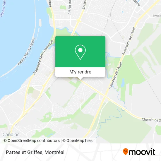 Pattes et Griffes plan